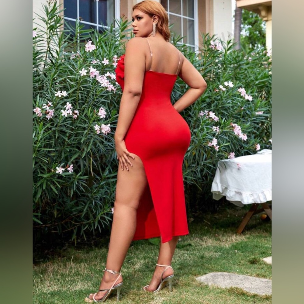 Red Dress - Picture 3 of 4